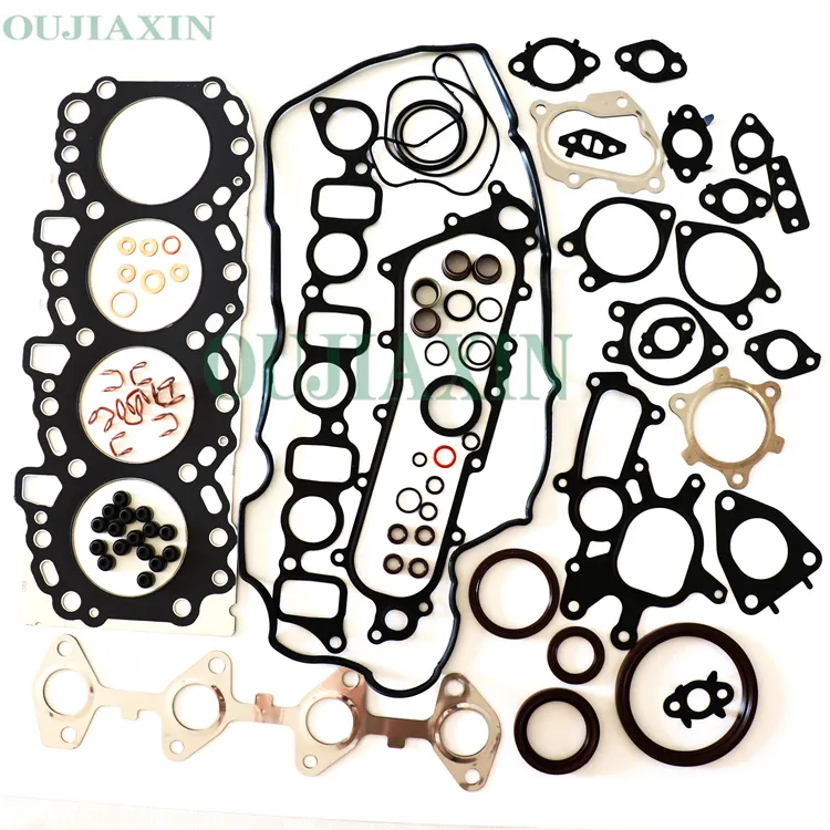 What is the matter with the cylinder gasket?